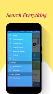 Play CricGuru