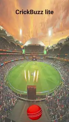 Play CrickBuzz lite Play CrickBuzz lite
