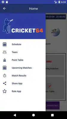 Play Cricket 64