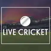 Free play online Cricket Arena APK