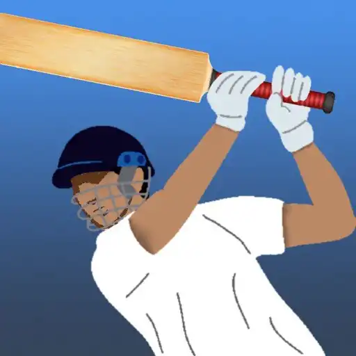 Play Cricket Batsman APK