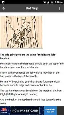 Play Cricket Batting Play Cricket Batting