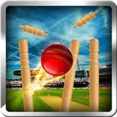 Free play online cricket bowling 3d 2017 APK