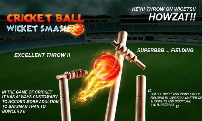 Play cricket bowling 3d 2017
