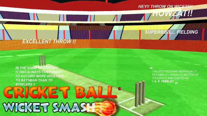 Play cricket bowling 3d 2017