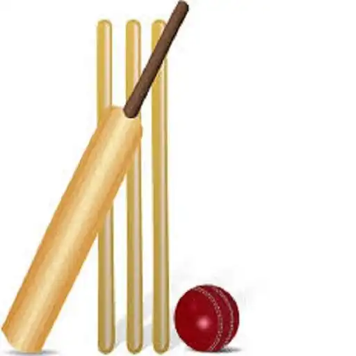 Play Cricket challenge Game 2020 APK