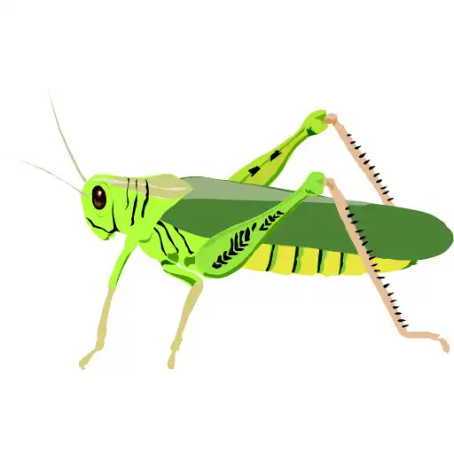 Play Cricket Chirps Temperature APK Play Cricket Chirps Temperature APK