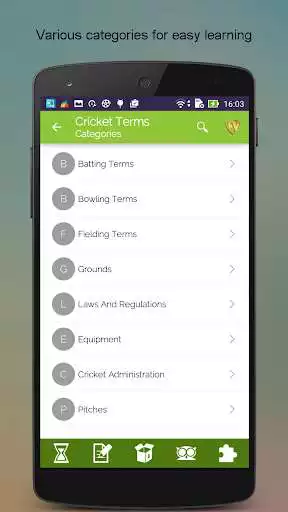 Play Cricket Dictionary