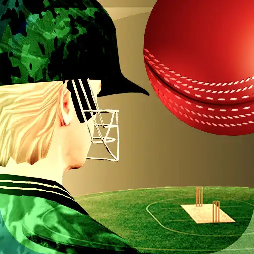 Play Cricket Fly - Sports Game APK