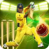 Free play online Cricket Games 2017 Free 3D APK Free play online Cricket Games 2017 Free 3D APK