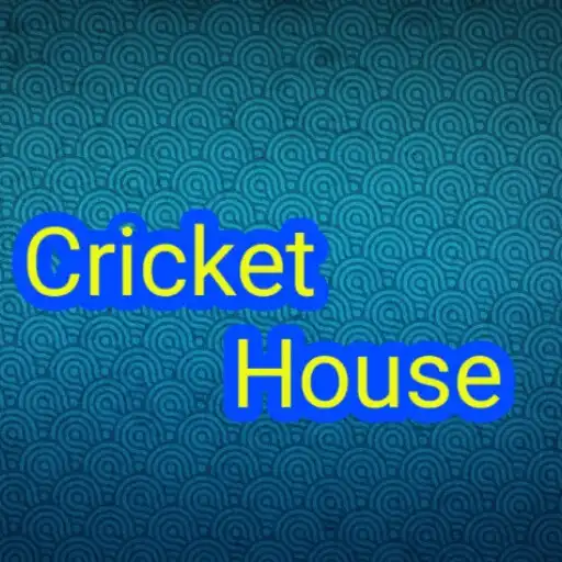 Play Cricket House APK Play Cricket House APK