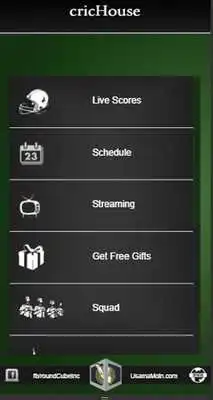 Play Cricket House as an online game Cricket House with UptoPlay