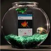 Free play online Cricket Hydro VIEW by Kyocera APK