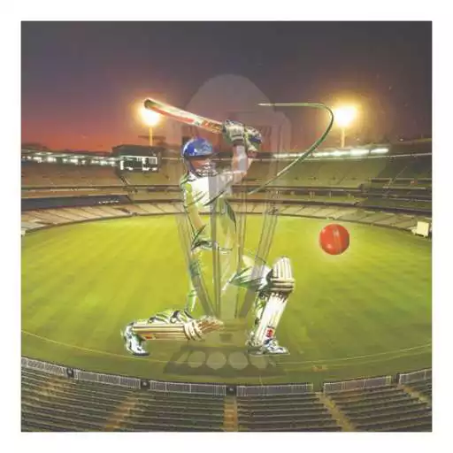 Free play online Cricket! APK Free play online Cricket! APK