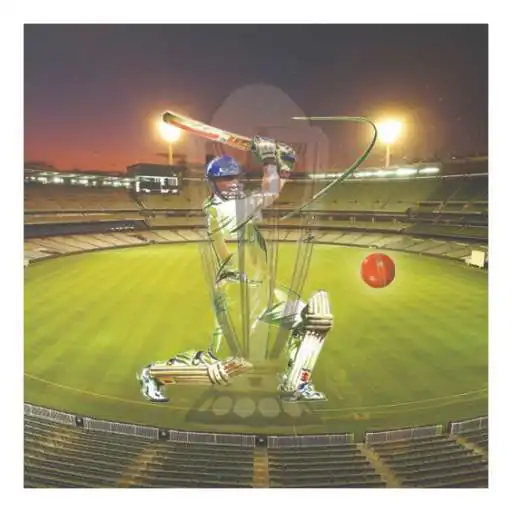 Play Cricket APK