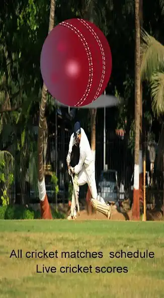 Play Cricket News Feeds as an online game Cricket News Feeds with UptoPlay