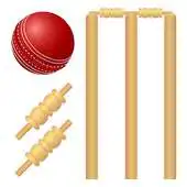 Free play online Cricket News in Hindi APK