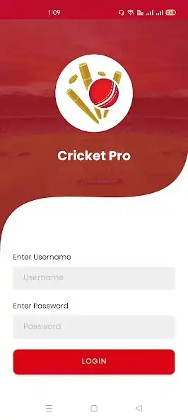 Play Cricket Pro as an online game Cricket Pro with UptoPlay