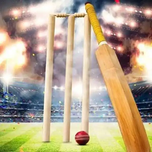 Play Cricket Records Video APK