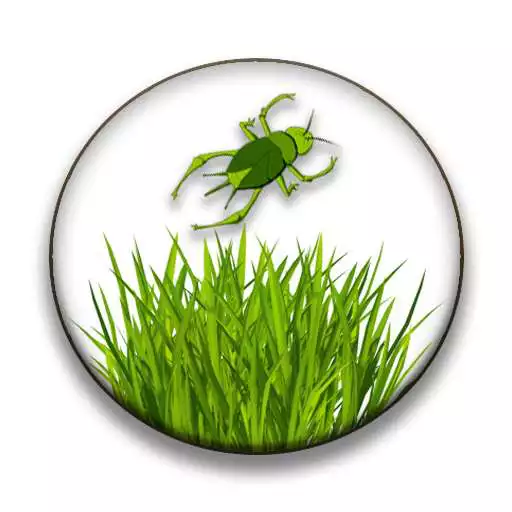 Free play online Crickets are vengeful APK