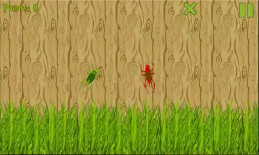 Play Crickets are vengeful