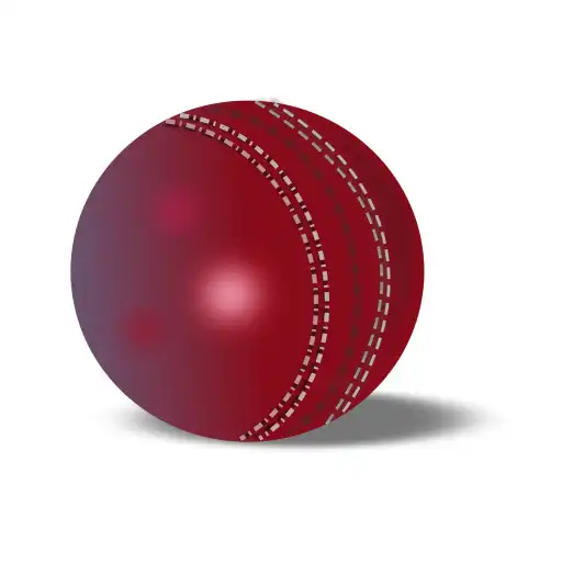 Play Cricket Scores APK Play Cricket Scores APK