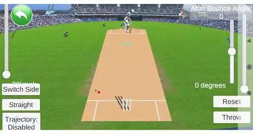 Play Cricket!