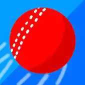 Free play online Cricket Speed APK