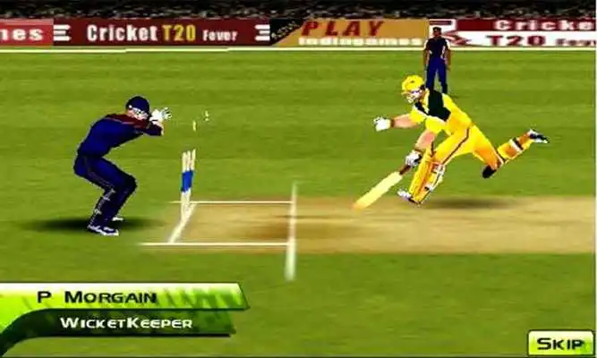 Play Cricket T20 Fever