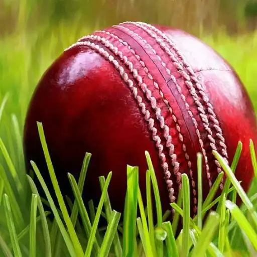 Play Cricket Wallpapers 5000+ APK