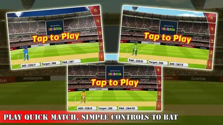 Play Cricket World Championship