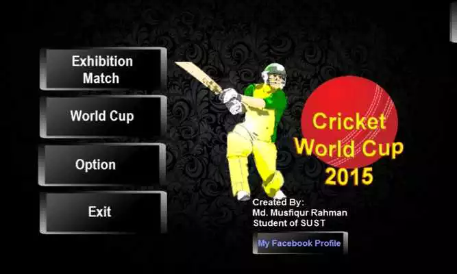 Play Cricket Worldcup 2015