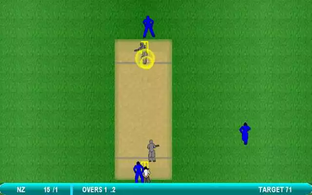 Play Cricket Worldcup 2015