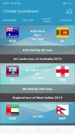 Play Cricket World Cup 2019