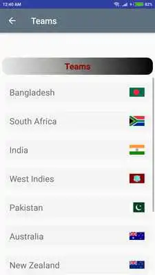 Play Cricket World Cup 2019