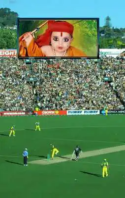 Play Cricket World Cup Frame