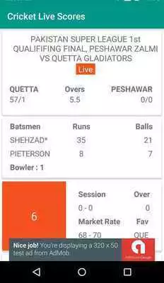 Play CricLine