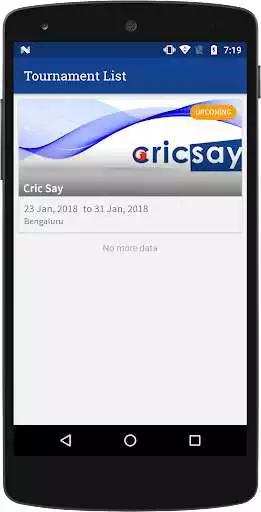 Play CricSay