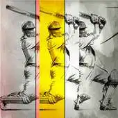 Free play online CricScore Live APK