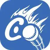 Free play online Cricyard APK