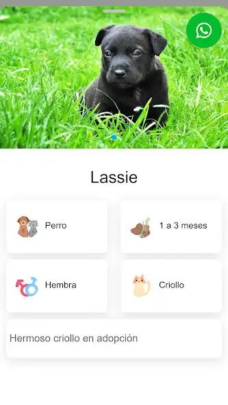 Play Criollos App as an online game Criollos App with UptoPlay