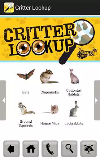 Play Critter Lookup as an online game Critter Lookup with UptoPlay