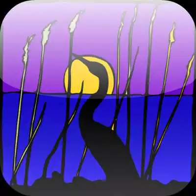 Play Critter Match
