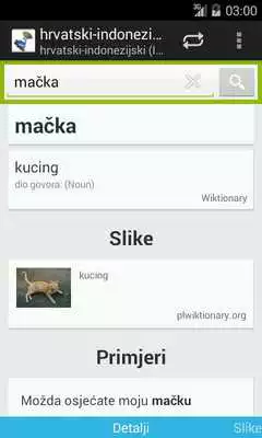 Play Croatian-Indonesian Dictionary