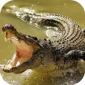 Free play online Crocodile HD Wallpapers APK