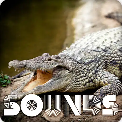 Play Crocodile Sound Ringtones APK