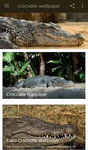 Play Crocodile Wallpaper and enjoy Crocodile Wallpaper with UptoPlay Play Crocodile Wallpaper and enjoy Crocodile Wallpaper with UptoPlay