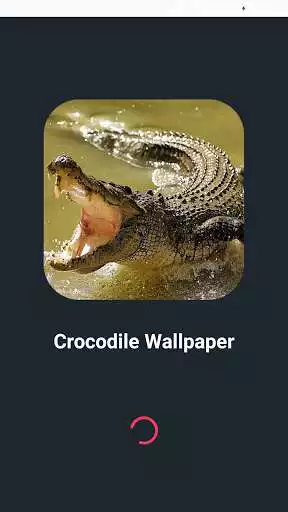 Play Crocodile wallpapers