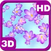 Free play online Crocus Bloom Colorful Buds on Spring Wind APK