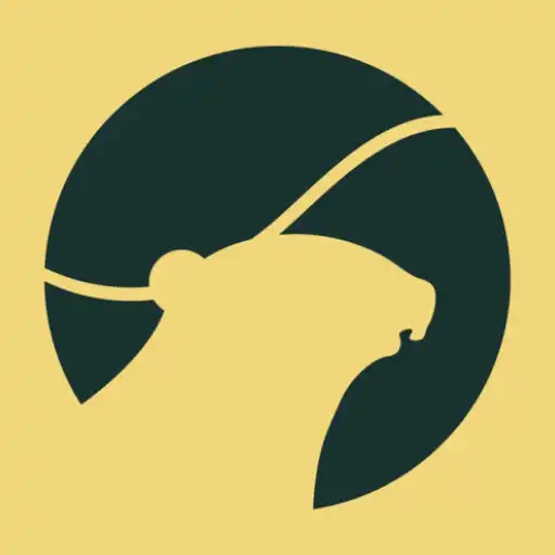 Play Crocus APK